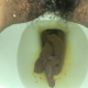 A very cute girl shits into a toilet from under ass. A nice hang and drop, then a look at the product. Filmed from a between the legs perspective. Vertical format video. Under a minute.